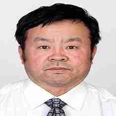 Prof Hongnian Yu